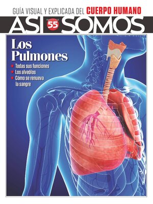cover image of Así Somos - El cuerpo humano